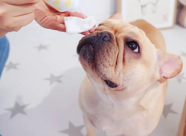 寵物用品進口報關關稅稅率（寵物用品進口關稅是多少？）